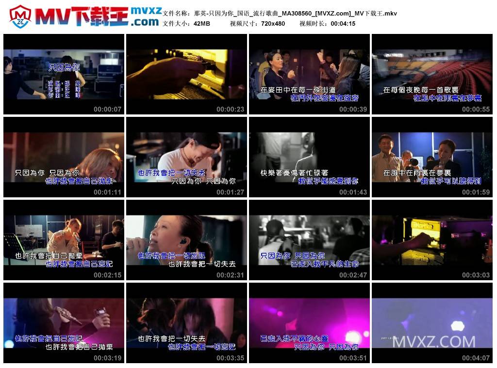 那英-只因为你_国语_流行歌曲_MA308560